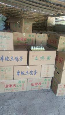 纸托绿壳青皮鸭蛋 优质食用农产品的批发优选