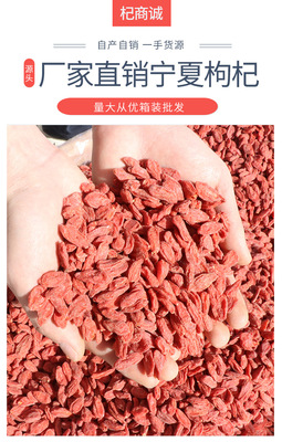 2020新货宁夏枸杞中宁甲乙特优级枸杞40斤散装枸杞整箱批发 品质与性价比之选